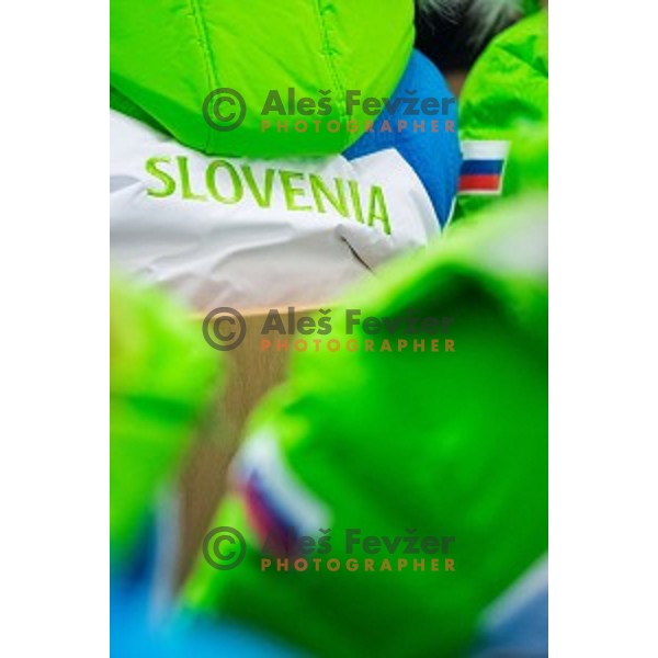 Press conference of Slovenian youth olympic team before European Youth Olympic Festival Vorarlberg 2015, Bled, Slovenia, on January 21, 2015