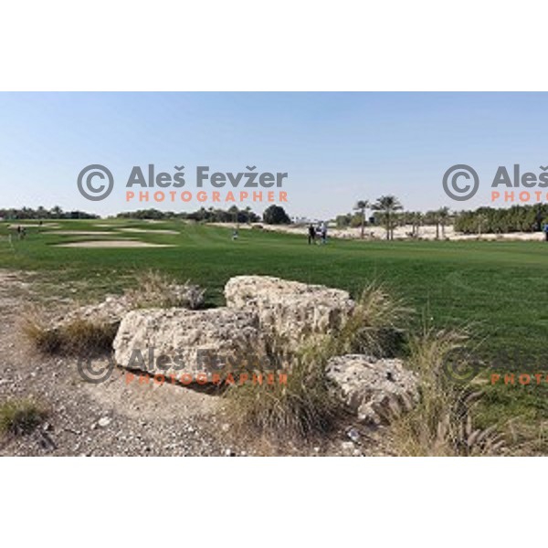 action in first round of Commercial Bank Qatar Masters, European Tour tournament, Doha Golf Club, Qatar on January 21, 2015
