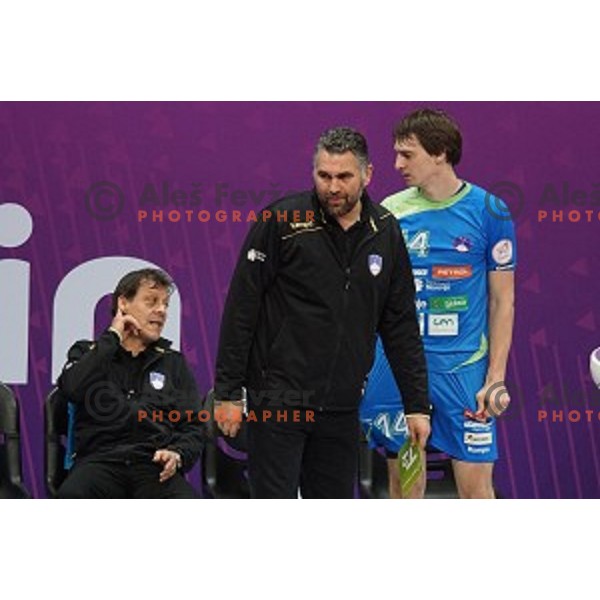 Boris Denic, head coach of Slovenia in action at Preliminary Group A match Slovenia-Spain at Qatar 2015 World Handball championships in Duhail Sport Arena, Doha on January 23, 2015