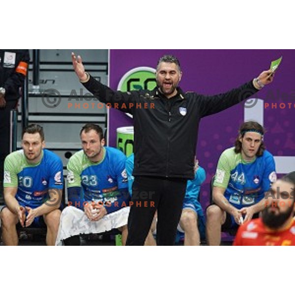 Boris Denic, head coach of Slovenia in action at Preliminary Group A match Slovenia-Spain at Qatar 2015 World Handball championships in Duhail Sport Arena, Doha on January 23, 2015