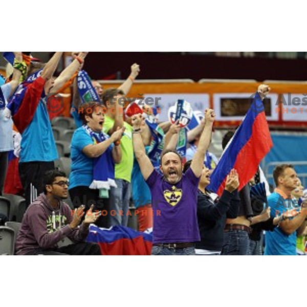 Fans of Slovenia in action during eight-final match Slovenia-Macedonia at Qatar 2015 World Handball championships in Al Saad Sport Arena, Doha on January 25, 2015