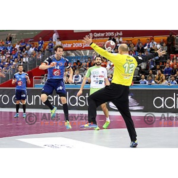 Gorazd Skof of Slovenia in action during quarter-final match Slovenia-France at Qatar 2015 World Handball championships in Al Sadd Sport Arena, Doha on January 28, 2015