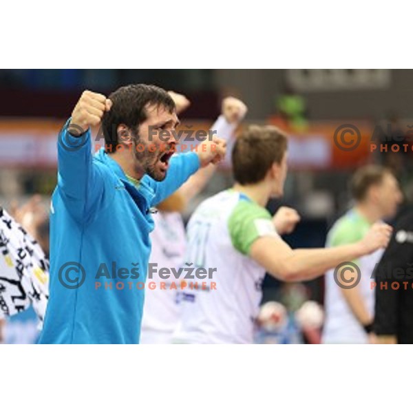 David Spiler during quarter-final match Slovenia-France at Qatar 2015 World Handball championships in Al Sadd Sport Arena, Doha on January 28, 2015