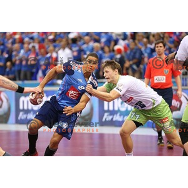 Jure Dolenec of Slovenia in action during quarter-final match Slovenia-France at Qatar 2015 World Handball championships in Al Sadd Sport Arena, Doha on January 28, 2015