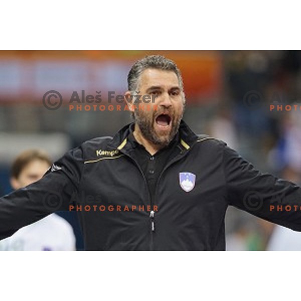 Boris Denic, head coach of Slovenia in action during quarter-final match Slovenia-France at Qatar 2015 World Handball championships in Al Sadd Sport Arena, Doha on January 28, 2015