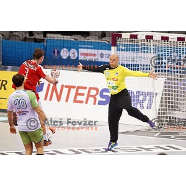 Gorazd Skof of Slovenia in action during placement match 5-8 between Slovenia and Denmark at Qatar 2015 World Handball championships in Al Sadd Sport Arena, Doha on January 30, 2015