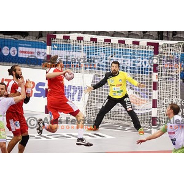 Primoz Prost of Slovenia in action during placement match 5-8 between Slovenia and Denmark at Qatar 2015 World Handball championships in Al Sadd Sport Arena, Doha on January 30, 2015