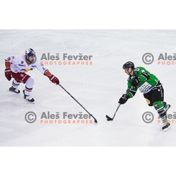 Marvin degon of Olimpija in action during ice hockey match of Ice Fest, 43th round of EBEL League in Season 2014/15 between HDD Telemach Olimpija and EC Red Bull Salzburg, played in Tivoli Hall, Ljubljana, Slovenia, on January 30, 2015