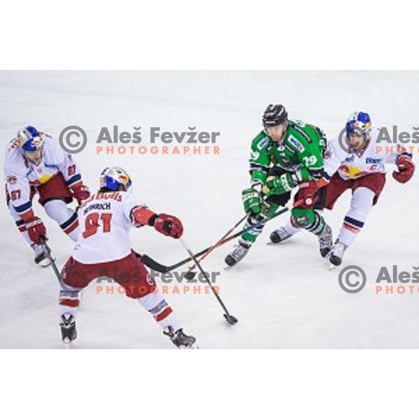 Anze Ropret of Olimpija in action during ice hockey match of Ice Fest, 43th round of EBEL League in Season 2014/15 between HDD Telemach Olimpija and EC Red Bull Salzburg, played in Tivoli Hall, Ljubljana, Slovenia, on January 30, 2015