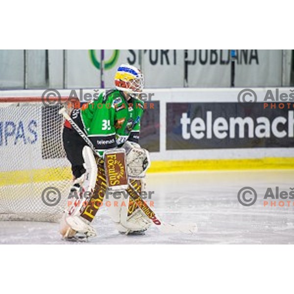 Miika Wiikman of Olimpija in action during ice hockey match of Ice Fest, 43th round of EBEL League in Season 2014/15 between HDD Telemach Olimpija and EC Red Bull Salzburg, played in Tivoli Hall, Ljubljana, Slovenia, on January 30, 2015