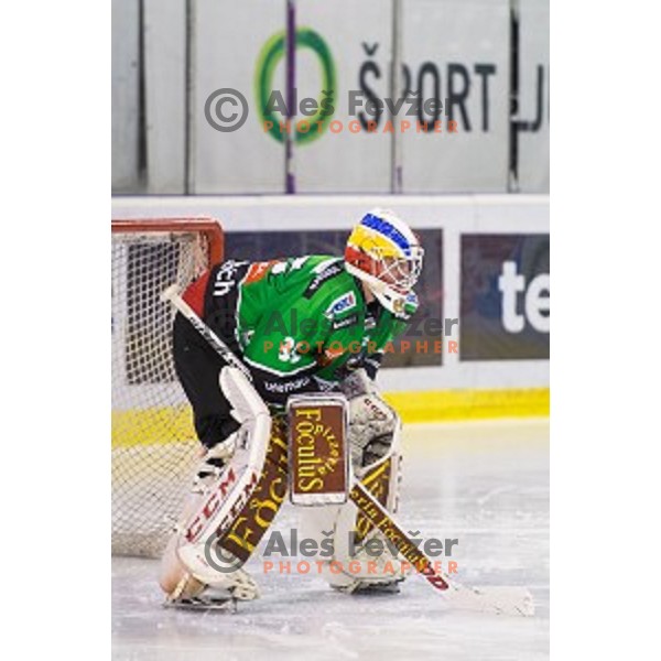 Miika Wiikman of Olimpija in action during ice hockey match of Ice Fest, 43th round of EBEL League in Season 2014/15 between HDD Telemach Olimpija and EC Red Bull Salzburg, played in Tivoli Hall, Ljubljana, Slovenia, on January 30, 2015