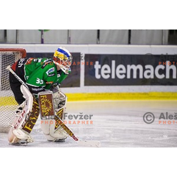 Miika Wiikman of Olimpija in action during ice hockey match of Ice Fest, 43th round of EBEL League in Season 2014/15 between HDD Telemach Olimpija and EC Red Bull Salzburg, played in Tivoli Hall, Ljubljana, Slovenia, on January 30, 2015
