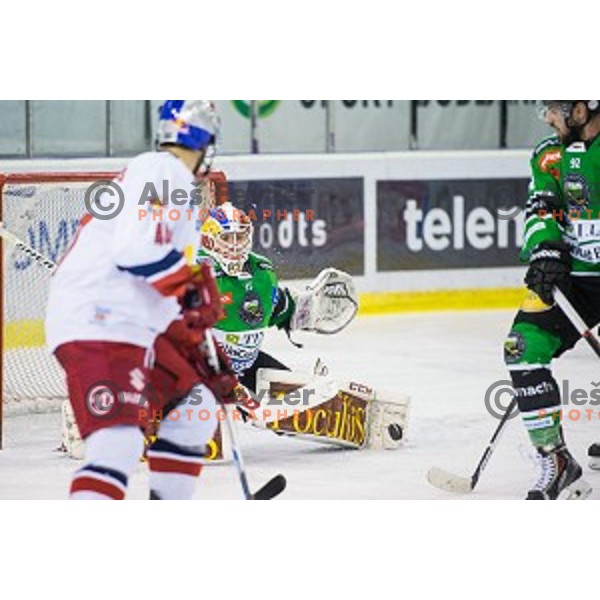 Miika Wiikman of Olimpija in action during ice hockey match of Ice Fest, 43th round of EBEL League in Season 2014/15 between HDD Telemach Olimpija and EC Red Bull Salzburg, played in Tivoli Hall, Ljubljana, Slovenia, on January 30, 2015