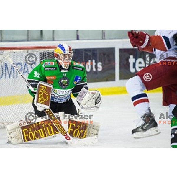 in action during ice hockey match of Ice Fest, 43th round of EBEL League in Season 2014/15 between HDD Telemach Olimpija and EC Red Bull Salzburg, played in Tivoli Hall, Ljubljana, Slovenia, on January 30, 2015