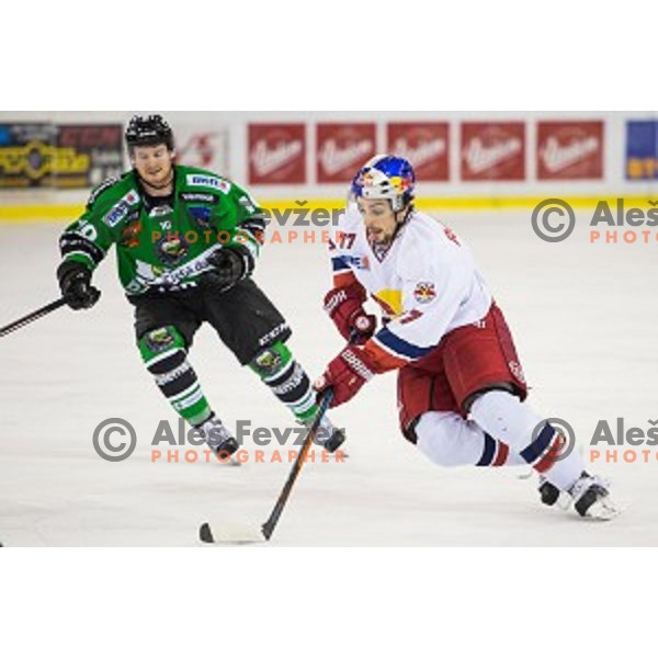 Florian Muhlstein of Salzburg in action during ice hockey match of Ice Fest, 43th round of EBEL League in Season 2014/15 between HDD Telemach Olimpija and EC Red Bull Salzburg, played in Tivoli Hall, Ljubljana, Slovenia, on January 30, 2015