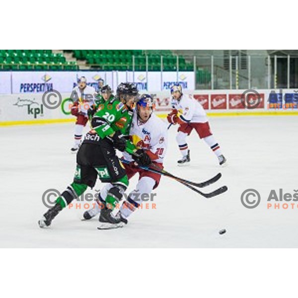 Gregor Koblar of Olimpija in action during ice hockey match of Ice Fest, 43th round of EBEL League in Season 2014/15 between HDD Telemach Olimpija and EC Red Bull Salzburg, played in Tivoli Hall, Ljubljana, Slovenia, on January 30, 2015