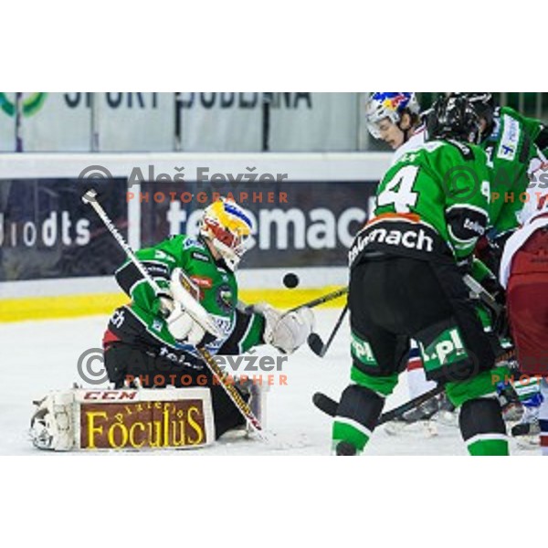 Miika Wiikman of Olimpija in action during ice hockey match of Ice Fest, 43th round of EBEL League in Season 2014/15 between HDD Telemach Olimpija and EC Red Bull Salzburg, played in Tivoli Hall, Ljubljana, Slovenia, on January 30, 2015