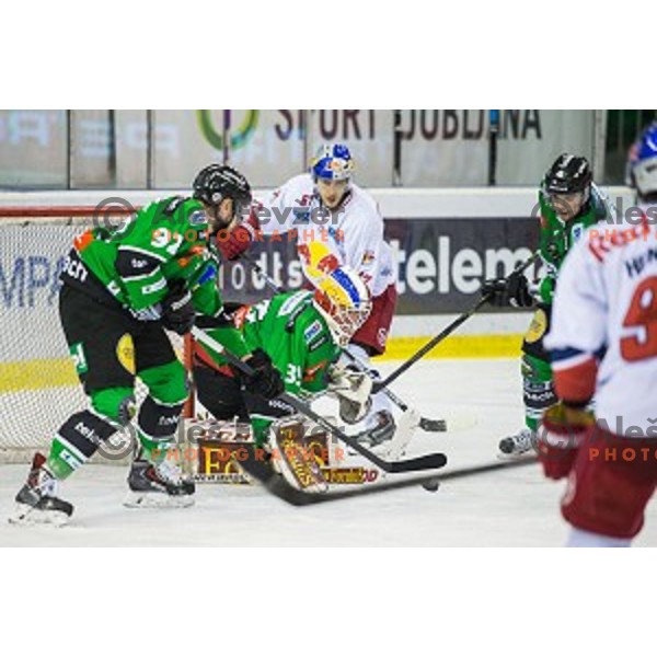 Miika Wiikman of Olimpija in action during ice hockey match of Ice Fest, 43th round of EBEL League in Season 2014/15 between HDD Telemach Olimpija and EC Red Bull Salzburg, played in Tivoli Hall, Ljubljana, Slovenia, on January 30, 2015