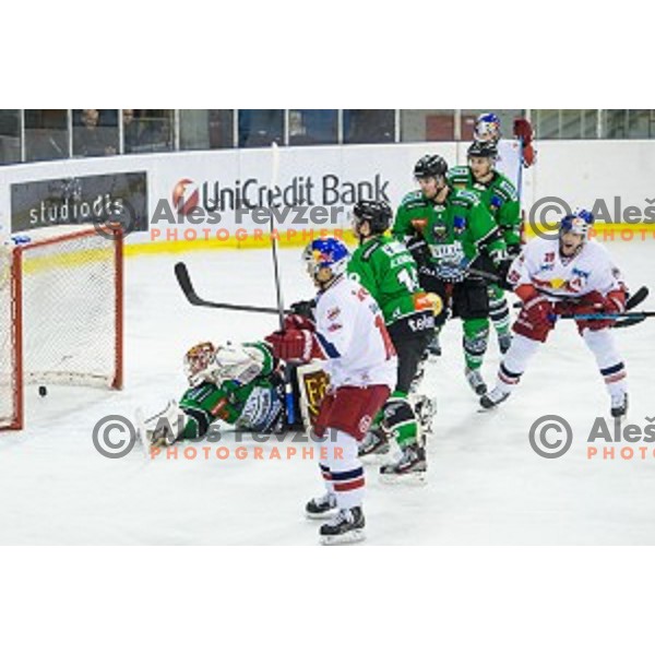 Miika Wiikman of Olimpija in action during ice hockey match of Ice Fest, 43th round of EBEL League in Season 2014/15 between HDD Telemach Olimpija and EC Red Bull Salzburg, played in Tivoli Hall, Ljubljana, Slovenia, on January 30, 2015
