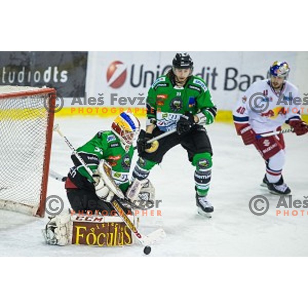Miika Wiikman of Olimpija in action during ice hockey match of Ice Fest, 43th round of EBEL League in Season 2014/15 between HDD Telemach Olimpija and EC Red Bull Salzburg, played in Tivoli Hall, Ljubljana, Slovenia, on January 30, 2015