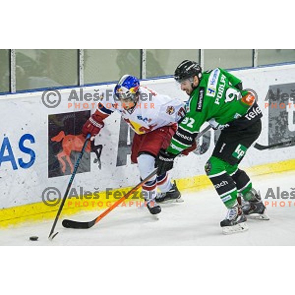 Matic Podlipnikof Olimpija in action during ice hockey match of Ice Fest, 43th round of EBEL League in Season 2014/15 between HDD Telemach Olimpija and EC Red Bull Salzburg, played in Tivoli Hall, Ljubljana, Slovenia, on January 30, 2015