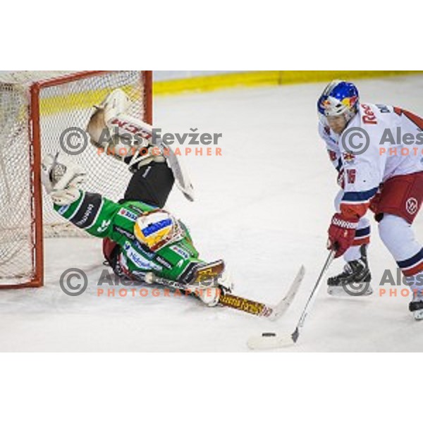 Miika Wiikman of Olimpija in action during ice hockey match of Ice Fest, 43th round of EBEL League in Season 2014/15 between HDD Telemach Olimpija and EC Red Bull Salzburg, played in Tivoli Hall, Ljubljana, Slovenia, on January 30, 2015 