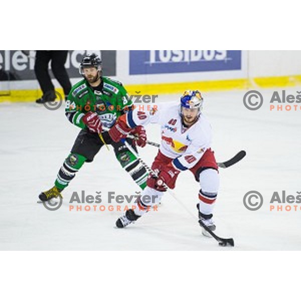 Andrej Hebar of Olimpija and Andreas Kristler of Salzburg in action during ice hockey match of Ice Fest, 43th round of EBEL League in Season 2014/15 between HDD Telemach Olimpija and EC Red Bull Salzburg, played in Tivoli Hall, Ljubljana, Slovenia, on January 30, 2015