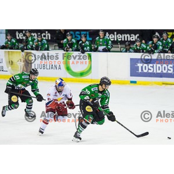 Gregor Koblar of Olimpija in action during ice hockey match of Ice Fest, 43th round of EBEL League in Season 2014/15 between HDD Telemach Olimpija and EC Red Bull Salzburg, played in Tivoli Hall, Ljubljana, Slovenia, on January 30, 2015