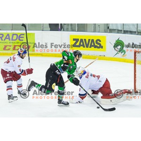 Gregor Koblar of Olimpija in action during ice hockey match of Ice Fest, 43th round of EBEL League in Season 2014/15 between HDD Telemach Olimpija and EC Red Bull Salzburg, played in Tivoli Hall, Ljubljana, Slovenia, on January 30, 2015