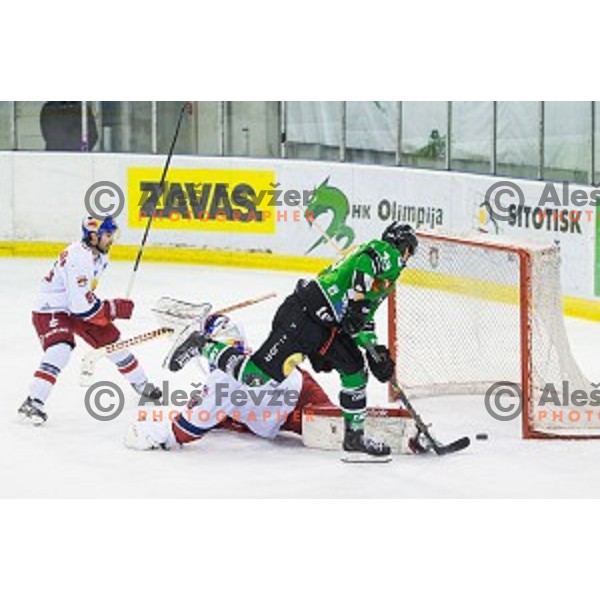 Gregor Koblar of Olimpija in action during ice hockey match of Ice Fest, 43th round of EBEL League in Season 2014/15 between HDD Telemach Olimpija and EC Red Bull Salzburg, played in Tivoli Hall, Ljubljana, Slovenia, on January 30, 2015