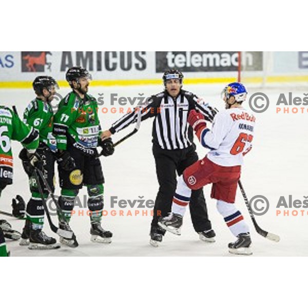 Action during ice hockey match of Ice Fest, 43th round of EBEL League in Season 2014/15 between HDD Telemach Olimpija and EC Red Bull Salzburg, played in Tivoli Hall, Ljubljana, Slovenia, on January 30, 2015