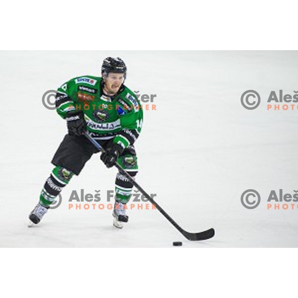 Tom Zanoski of Olimpija in action during ice hockey match of Ice Fest, 43th round of EBEL League in Season 2014/15 between HDD Telemach Olimpija and EC Red Bull Salzburg, played in Tivoli Hall, Ljubljana, Slovenia, on January 30, 2015