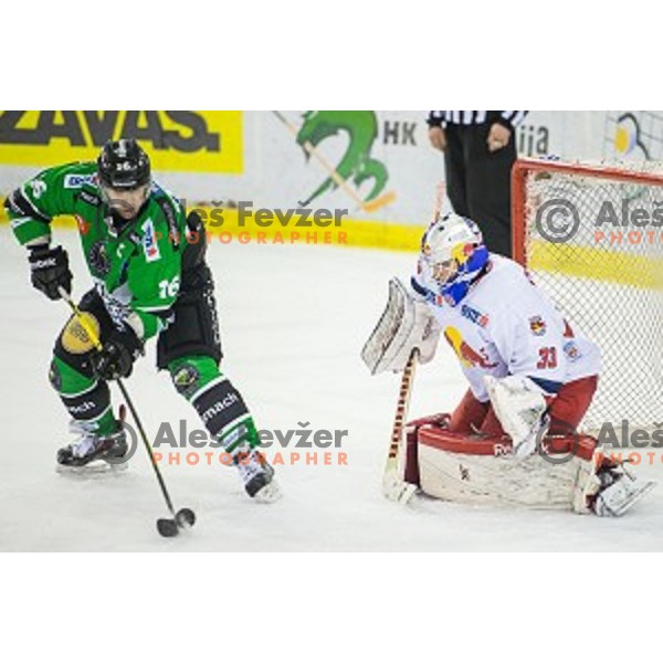 Ales Music of Olimpija in action during ice hockey match of Ice Fest, 43th round of EBEL League in Season 2014/15 between HDD Telemach Olimpija and EC Red Bull Salzburg, played in Tivoli Hall, Ljubljana, Slovenia, on January 30, 2015