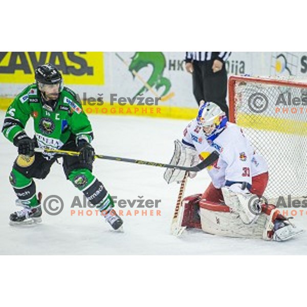 ales Music of Olimpija in action during ice hockey match of Ice Fest, 43th round of EBEL League in Season 2014/15 between HDD Telemach Olimpija and EC Red Bull Salzburg, played in Tivoli Hall, Ljubljana, Slovenia, on January 30, 2015