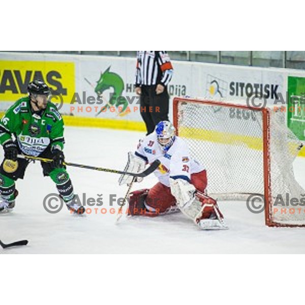 Ales Music of Olimpija in action during ice hockey match of Ice Fest, 43th round of EBEL League in Season 2014/15 between HDD Telemach Olimpija and EC Red Bull Salzburg, played in Tivoli Hall, Ljubljana, Slovenia, on January 30, 2015
