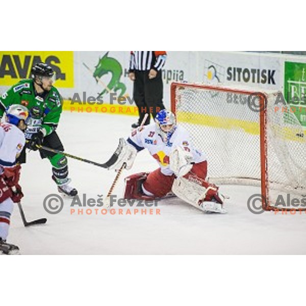 Ales Music of Olimpija in action during ice hockey match of Ice Fest, 43th round of EBEL League in Season 2014/15 between HDD Telemach Olimpija and EC Red Bull Salzburg, played in Tivoli Hall, Ljubljana, Slovenia, on January 30, 2015