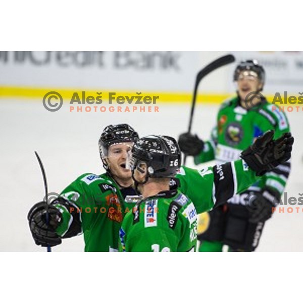 Team Olimpija during ice hockey match of Ice Fest, 43th round of EBEL League in Season 2014/15 between HDD Telemach Olimpija and EC Red Bull Salzburg, played in Tivoli Hall, Ljubljana, Slovenia, on January 30, 2015