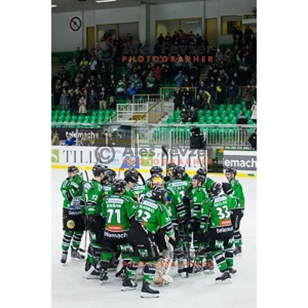 in action during ice hockey match of Ice Fest, 43th round of EBEL League in Season 2014/15 between HDD Telemach Olimpija and EC Red Bull Salzburg, played in Tivoli Hall, Ljubljana, Slovenia, on January 30, 2015