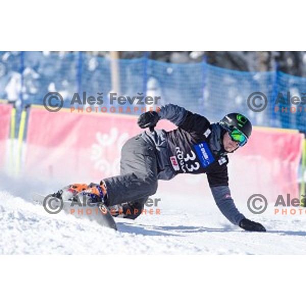 Jernej Demsar (SLO) in action during snowboard match of FIS Snowboard WC Parallel Gaint Slalom Rogla 2015, Rogla, Slovenia, on January 31, 2015