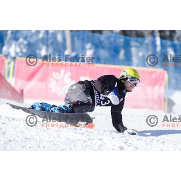 Crt Ikovic (SLO) in action during snowboard match of FIS Snowboard WC Parallel Gaint Slalom Rogla 2015, Rogla, Slovenia, on January 31, 2015