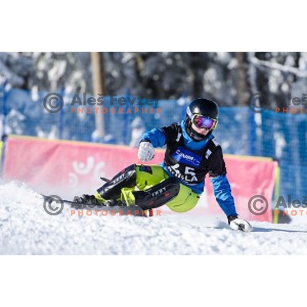 Jure Retuznik (SLO) in action during snowboard match of FIS Snowboard WC Parallel Gaint Slalom Rogla 2015, Rogla, Slovenia, on January 31, 2015