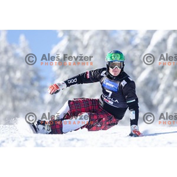 Rok Marguc (SLO) in action during snowboard match of FIS Snowboard WC Parallel Gaint Slalom Rogla 2015, Rogla, Slovenia, on January 31, 2015