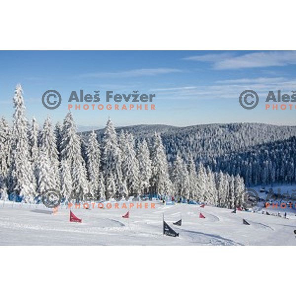 During snowboard match of FIS Snowboard WC Parallel Gaint Slalom Rogla 2015, Rogla, Slovenia, on January 31, 2015