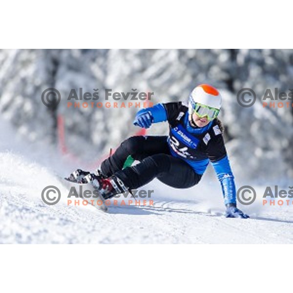 Corinna Boccacini (ITA) in action during snowboard match of FIS Snowboard WC Parallel Gaint Slalom Rogla 2015, Rogla, Slovenia, on January 31, 2015