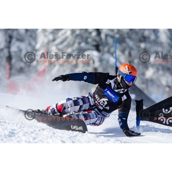 Vic Wild (RUS) in action during snowboard match of FIS Snowboard WC Parallel Gaint Slalom Rogla 2015, Rogla, Slovenia, on January 31, 2015