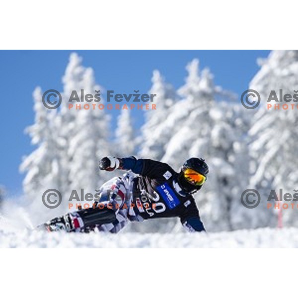 Valery Kolegov (RUS) in action during snowboard match of FIS Snowboard WC Parallel Gaint Slalom Rogla 2015, Rogla, Slovenia, on January 31, 2015