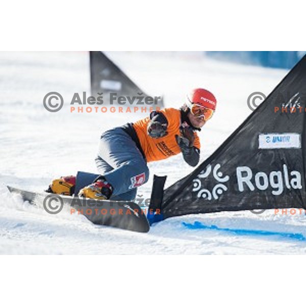 Zan Kosir (SLO) in action during snowboard match of FIS Snowboard WC Parallel Gaint Slalom Rogla 2015, Rogla, Slovenia, on January 31, 2015