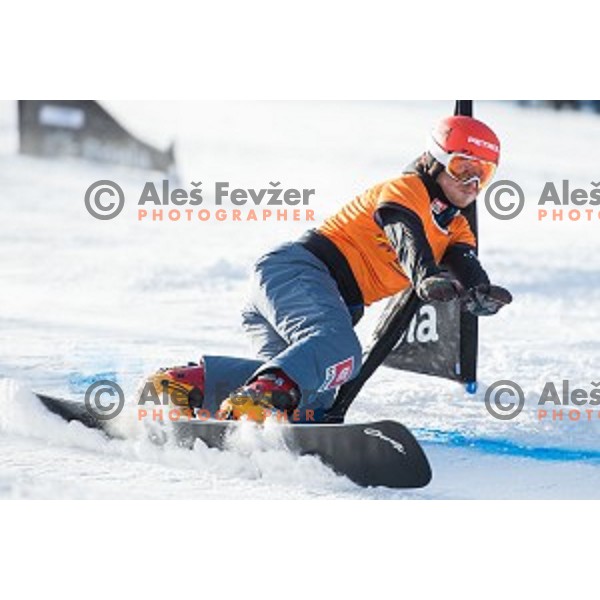 Zan Kosir (SLO) in action during snowboard match of FIS Snowboard WC Parallel Gaint Slalom Rogla 2015, Rogla, Slovenia, on January 31, 2015
