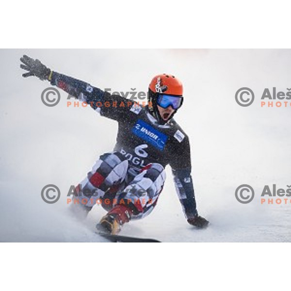 Vic Wild (RUS) in action during snowboard match of FIS Snowboard WC Parallel Gaint Slalom Rogla 2015, Rogla, Slovenia, on January 31, 2015