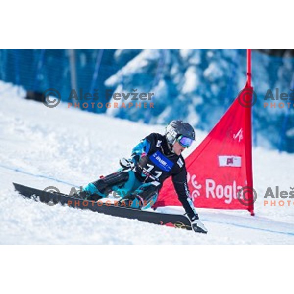 Ina Meschik (AUT) in action during snowboard match of FIS Snowboard WC Parallel Gaint Slalom Rogla 2015, Rogla, Slovenia, on January 31, 2015